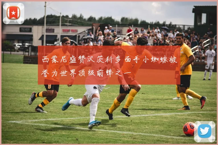 西蒙尼盛赞汉茨科多面手小蜘蛛被誉为世界顶级前锋之一